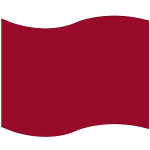 Foam Flag Mitt