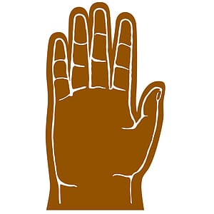 5 Finger Foam hand