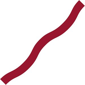 Foam Wavy Noodle 28"