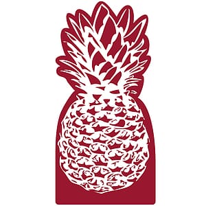 Pineapple Mitt