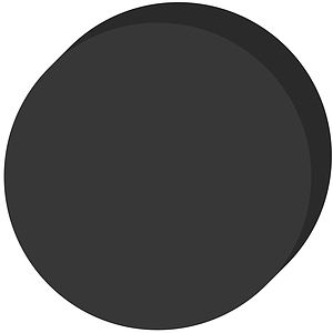 EVA Foam Puck (Black)