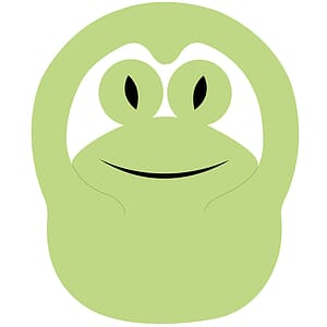 Frog Popup Visor