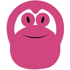 Frog Popup Visor