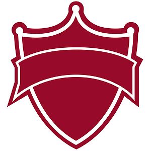 12" Shield Mitt