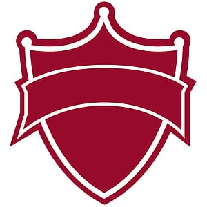 12" Shield Mitt