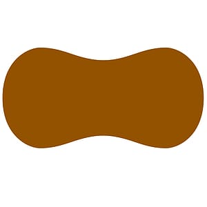 1.5" Thick Peanut Sponge
