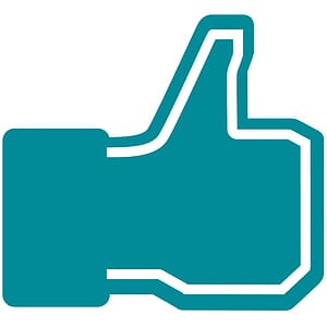 Facebook Foam Hand Mitt