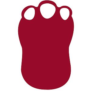 Foam Dinosaur Foot Waver
