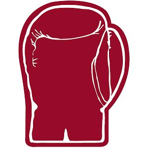 Boxing Glove Mitt