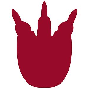 Foam Claw Talon