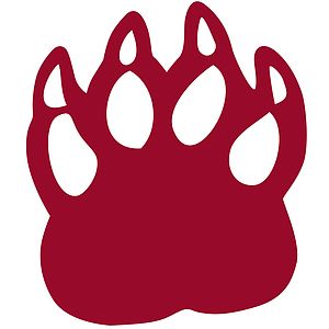 Foam Cat Claw Mitt