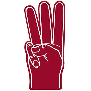 3 Fingered Hand Mitt
