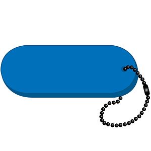 Oval - Large Key Tag