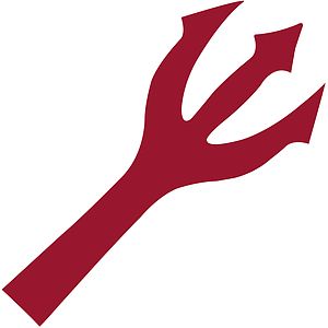Foam Pitchfork