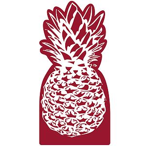 Pineapple Mitt