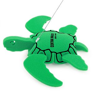 Turtle on a leash