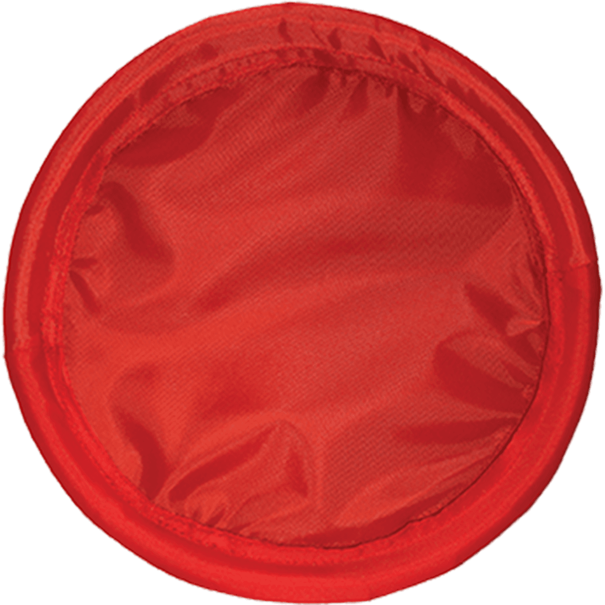 Fetch & Catch Flying Disc
