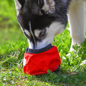 Foldable Nylon Pet Bowl