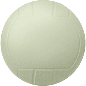 4¼" Mini Vinyl Volleyball