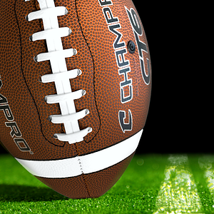 14" CHAMPRO Full Size Footballs