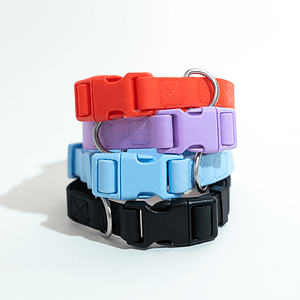 Springland Large Dog Collar