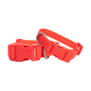 Springland Large Dog Collar