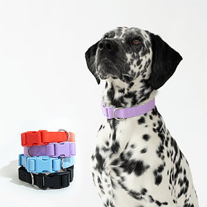 Springland Large Dog Collar