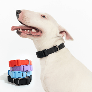 Springland Extra Large Dog Collar