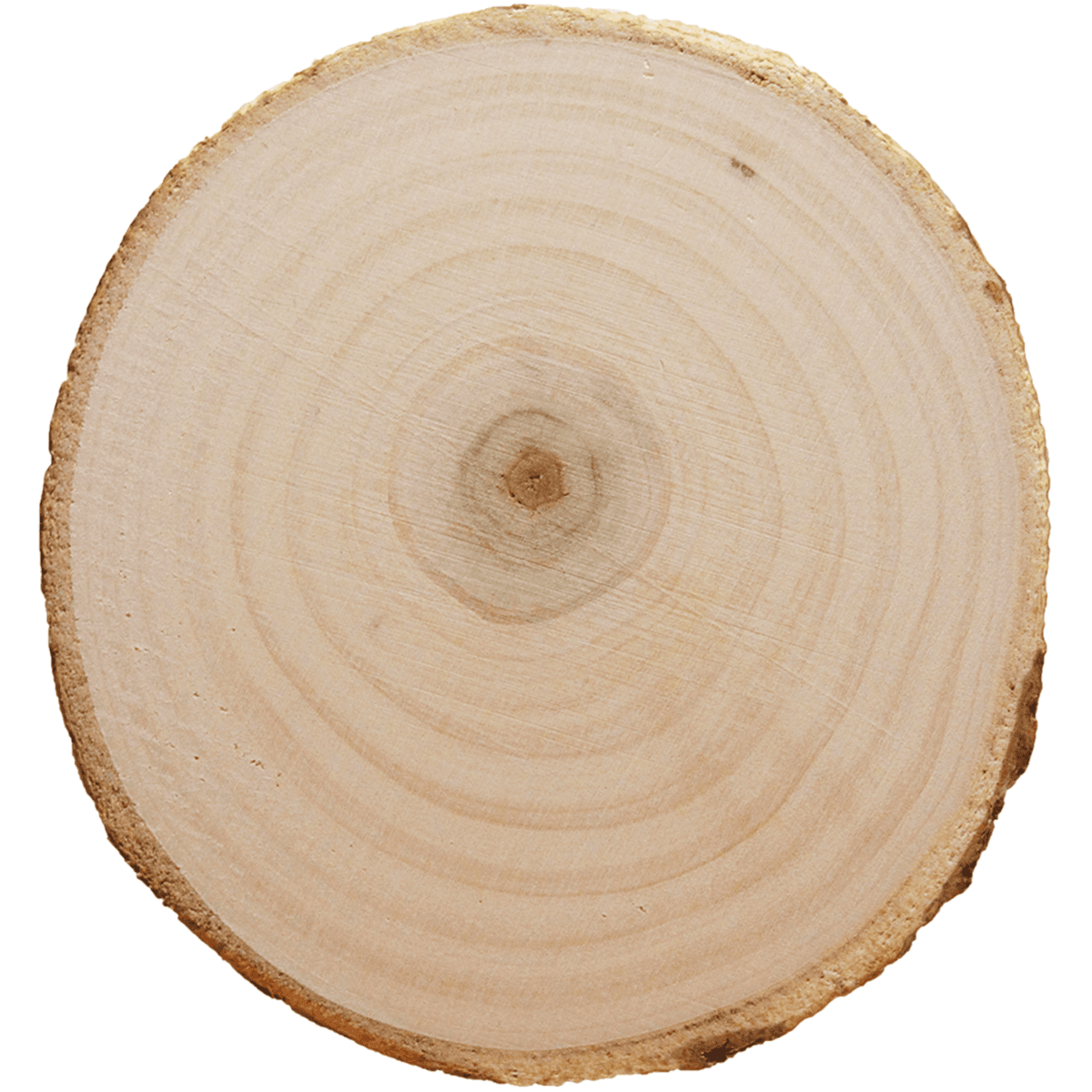 Tree Bark Coaster