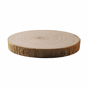 Tree Bark Coaster