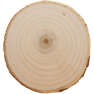 Tree Bark Coaster