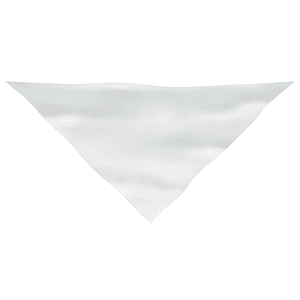 Large Dog Bandana