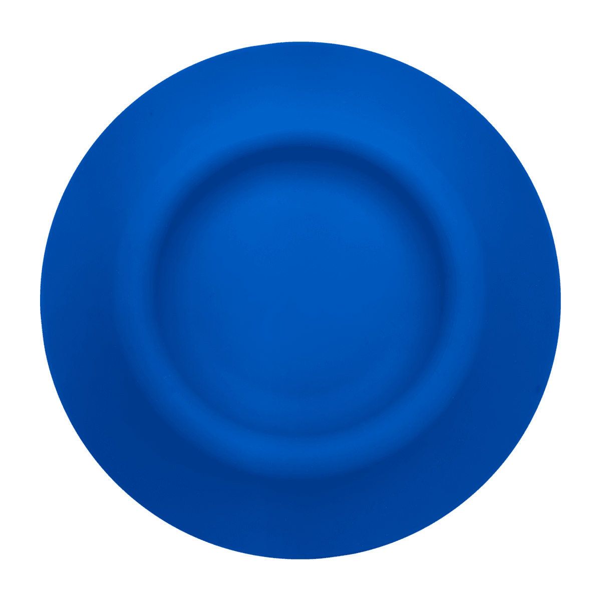 Flying Disc Water Dish