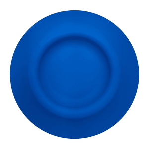 Flying Disc Water Dish