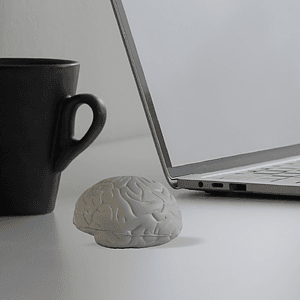 Foam Stress Reliever Brain