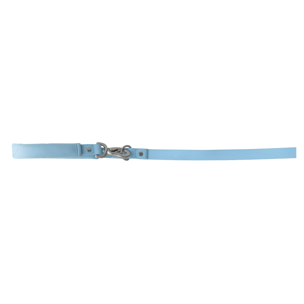 Springer Dog Leash