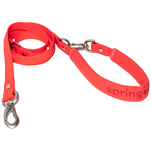 Springer Dog Leash