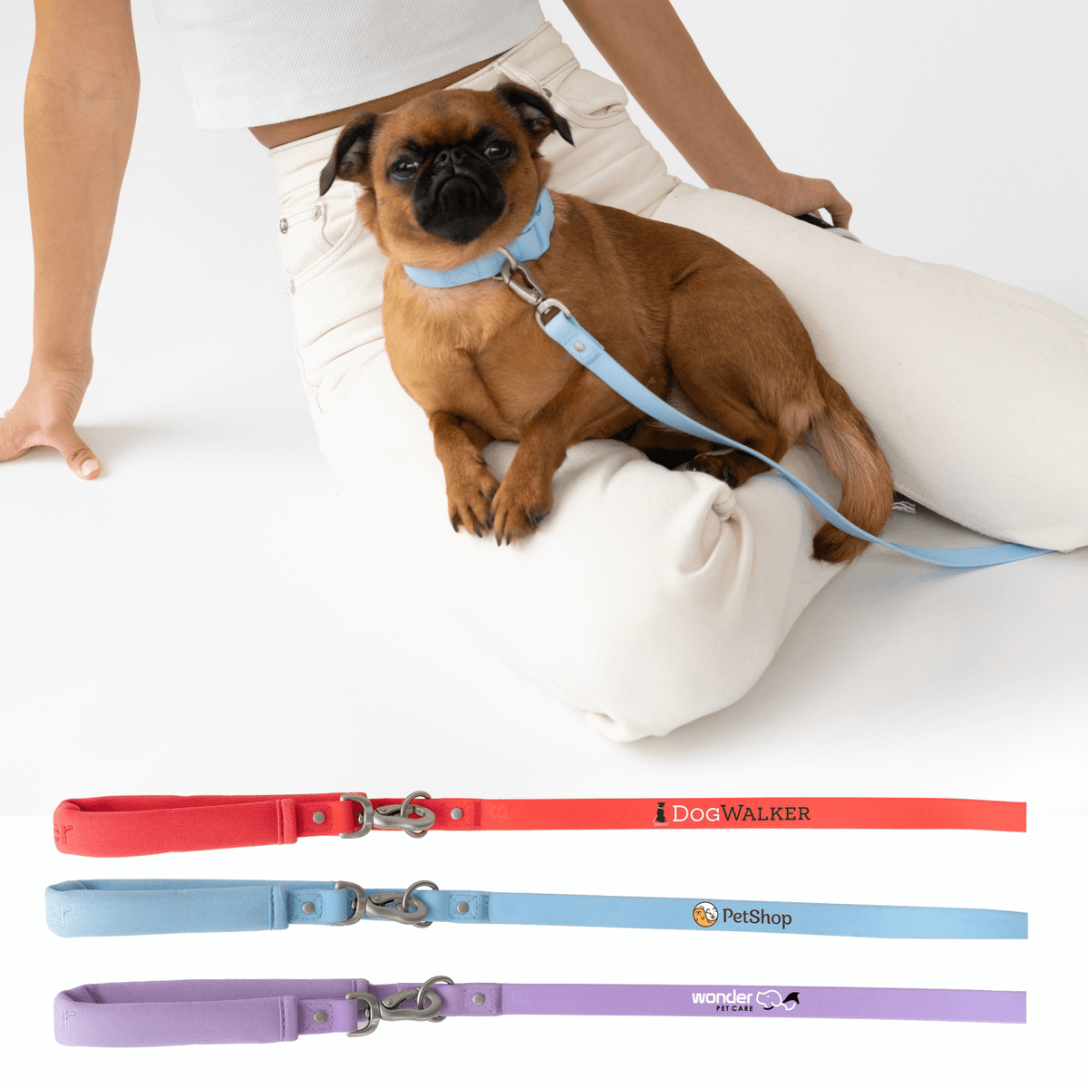Springer Small Dog Leash