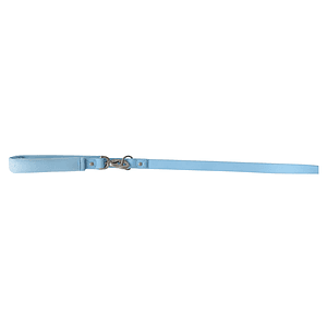 Springer Small Dog Leash