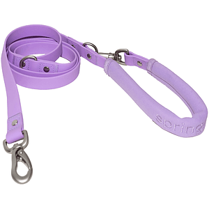 Springer Small Dog Leash