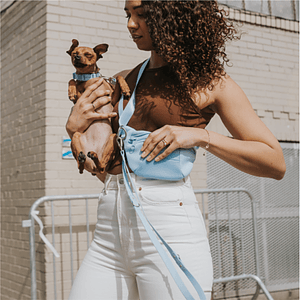 Springer Sling Bag + Dog Leash