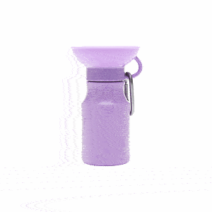 Springer 15 oz Mini Travel Bottle