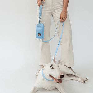 Springer Walk Bag + Dog Leash