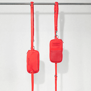 Springer Walk Bag + Small Dog Leash