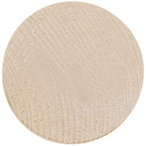 Wooden Nickel
