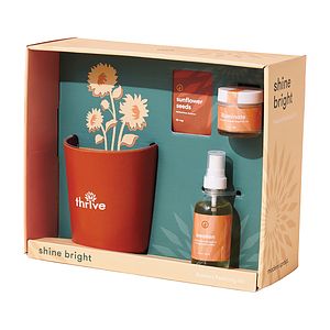 Modern Sprout® Shine Bright Take Care Kit - Sunflower