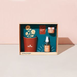 Modern Sprout® Shine Bright Take Care Kit - Sunflower