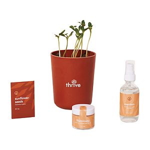 Modern Sprout® Shine Bright Take Care Kit - Sunflower