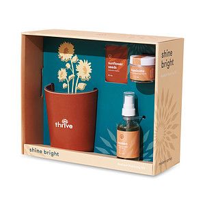 Modern Sprout® Shine Bright Take Care Kit - Sunflower