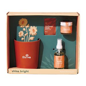 Modern Sprout® Shine Bright Take Care Kit - Sunflower